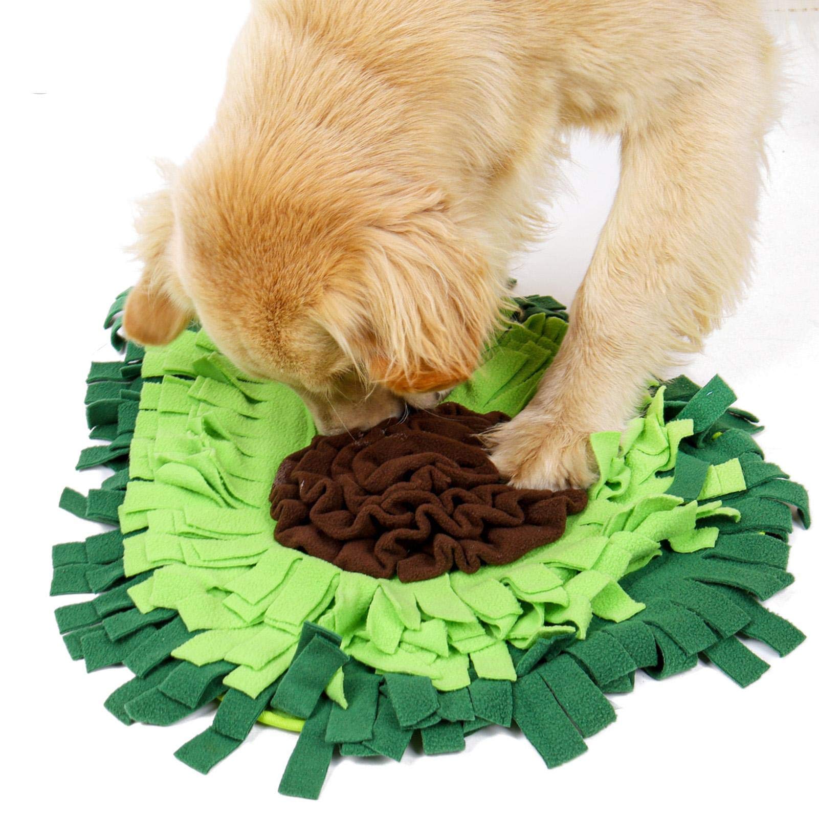 f39d59c09e27846eef9ca63a7fb3400